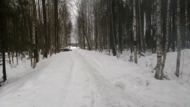 Шиес: где спит Дед Мороз смотреть онлайн
