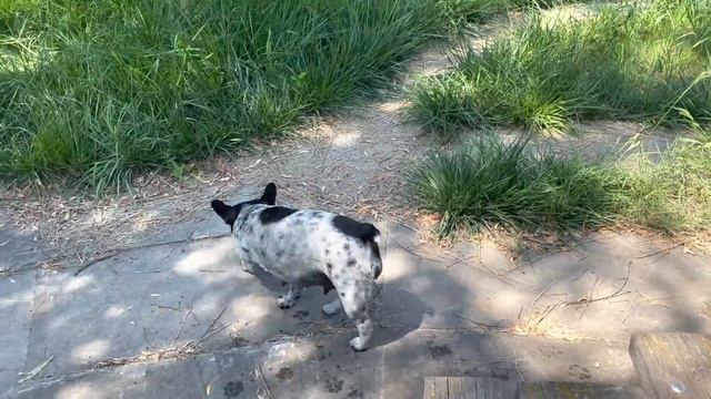 Зелёная лагуна Александра Дока смотреть онлайн