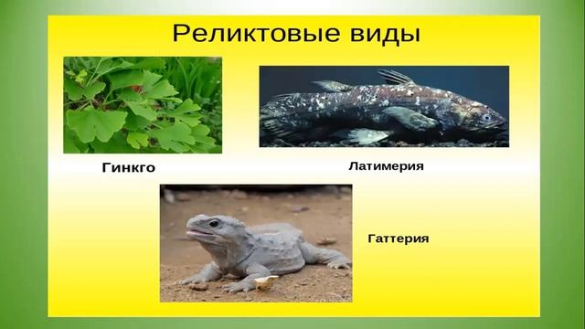 основные направления и закономерности эволюции смотреть онлайн