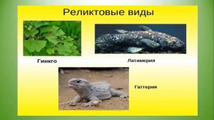 основные направления и закономерности эволюции