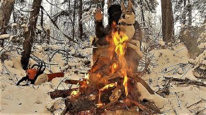 ПРОЕКТ! ПУРГА В Ш--КЕ ОТ НОВОЙ СОБАКИ!