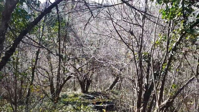 Недвижимость Туапсе участок у моря за 200к!!! ШОК смотреть онлайн