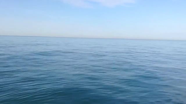 Олимпиада'день4 смотреть онлайн