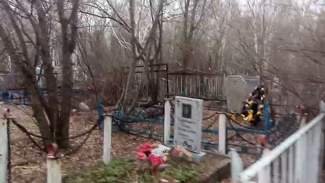 Сирень и вишня - растения, которые крайне не желательно высаживать на кладбище. Как избавиться??? смотреть онлайн