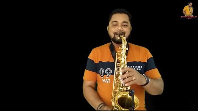 Laila Main Laila Instrumental | Saxophone Music Bollywood Songs | Best Saxophone Cover 2022 Hindi смотреть онлайн