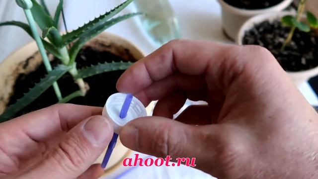 ahoot.ru * Удобная ПРИСПОСОБА ДЛЯ ПОЛИВА домашних растений своими руками за секунды #рассада #diy смотреть онлайн