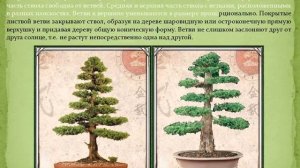 Как сделать хвойный бонсай в стиле Теккан из бисера