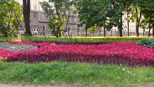 Новый план озеленения города! Каким будет Минск? смотреть онлайн