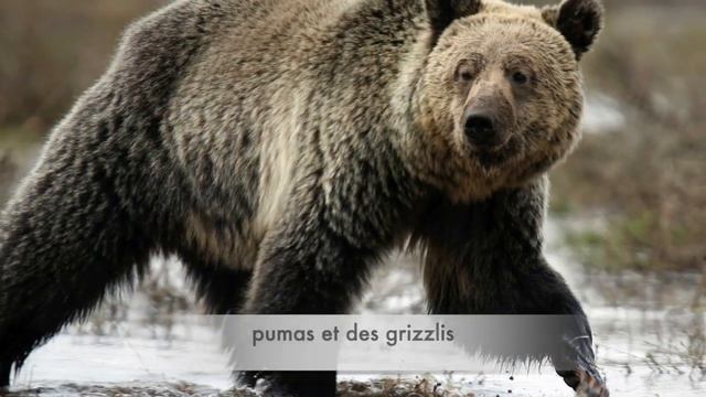 YGab - Chanson sur les continents (C'est le monde d'où je viens) смотреть онлайн