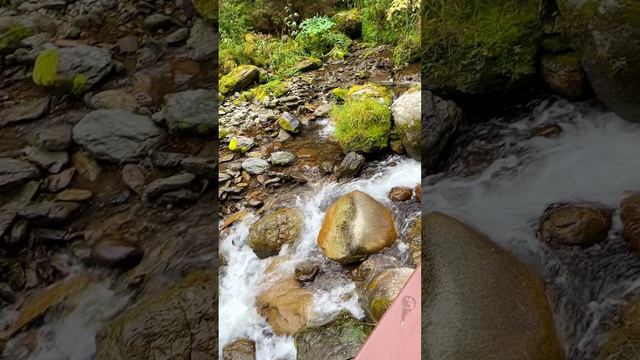 #Алтай2024 #отдых2024 #отдыхалтай #отдыхроссия2024 #отелироссии #влог