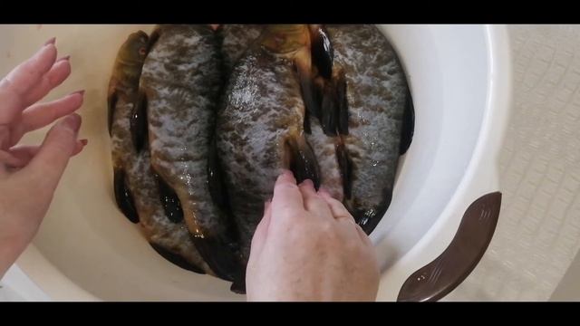 Купила себе головную боль? Готовим самые вкусные помидорчики! #какпочиститьлиня #чистимрыбу смотреть онлайн