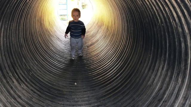 (348) ФЕРМА В АМЕРИКЕ собираем малину VLOG смотреть онлайн