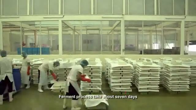 How NataDecoco is being made at Factories смотреть онлайн