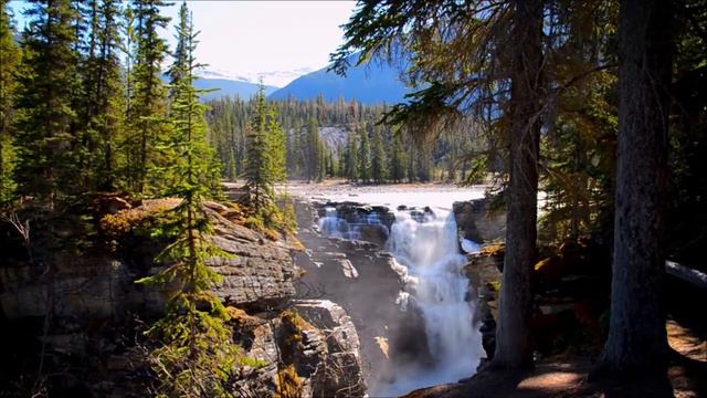 Волшебная флейта. смотреть онлайн