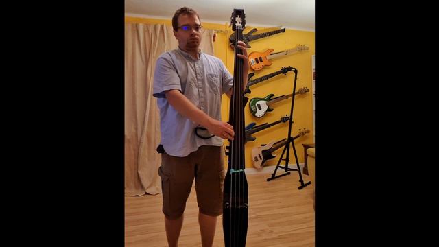 Dream Theater - "Another Day" Electric Upright Bass Cover смотреть онлайн