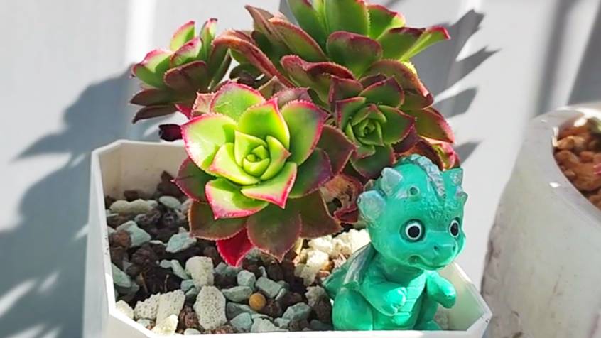 Как сделать симпатичные фигурки для садиков из суккулентов своими руками. Пошаговое видео. смотреть онлайн