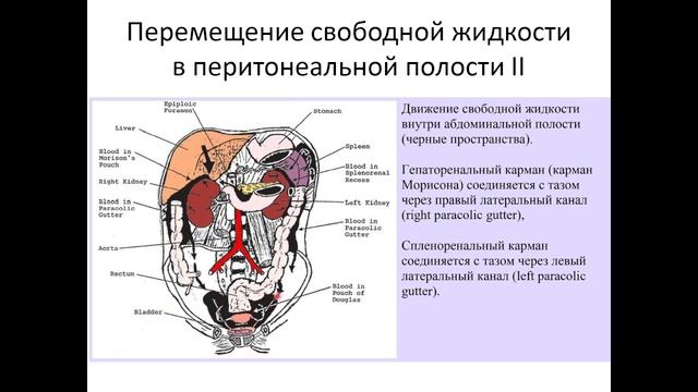 FAST протокол. BLUE протокол. Часть 1. смотреть онлайн