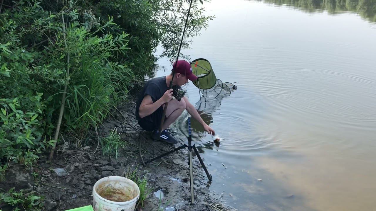 ФИДЕР НА ОКЕ / Река раздаёт по ПОЛНОЙ рыба на КАЖДОМ забросе / БОНУС под конец РЫБАЛКИ смотреть онлайн