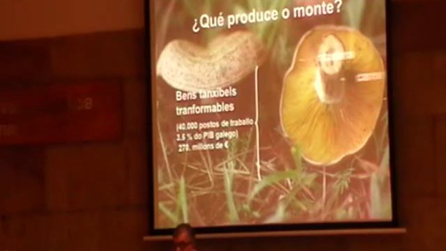 A potencialidade do sector forestal galego. Presente e futuro смотреть онлайн