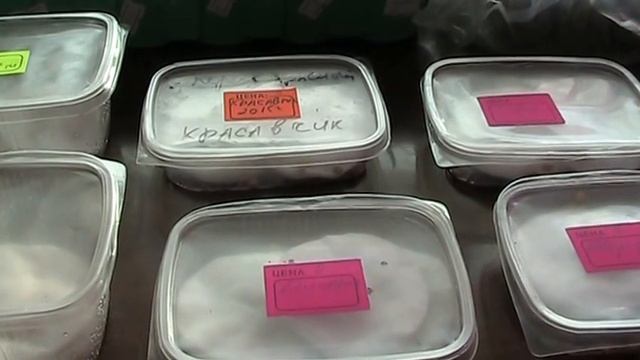 Как заработать на растениях в деревне? // Секреты хороших урожаев. смотреть онлайн