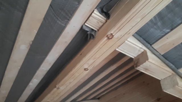 Пушкино. Сосновый бор. смотреть онлайн