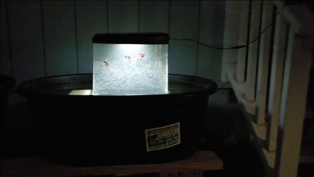 AWESOME Tub and Tank COMBO Set Up Guide смотреть онлайн