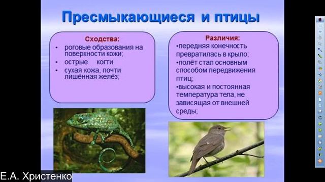 5 класс, занятие 22 04 2020, теплокровные позвоночные смотреть онлайн