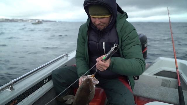 ЭЛЕКТРИЧЕСКИЙ МУЛЬТИПЛИКАТОР WFT Electra 700 Bi-Motor | ОБЗОР