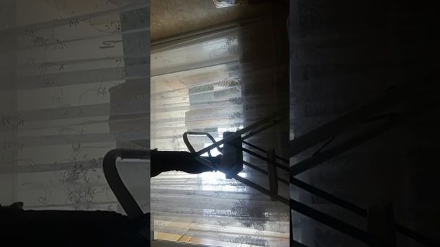 Как покорить гору дома смотреть онлайн