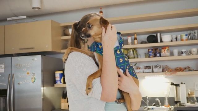 Big Nerd Ranch - Rebrand Launch Party смотреть онлайн