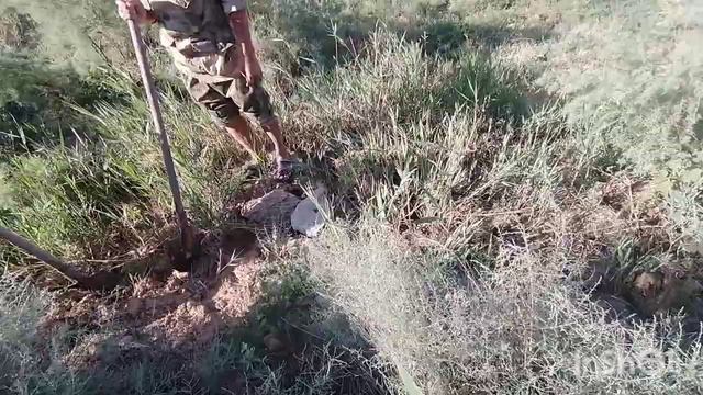 Нашли новые родники .Расчистка старых родников п Песчаный.Калмыкия смотреть онлайн