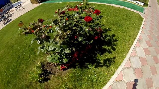 Just In Time TeamBuilding(Повышение эффективности работы команды) смотреть онлайн