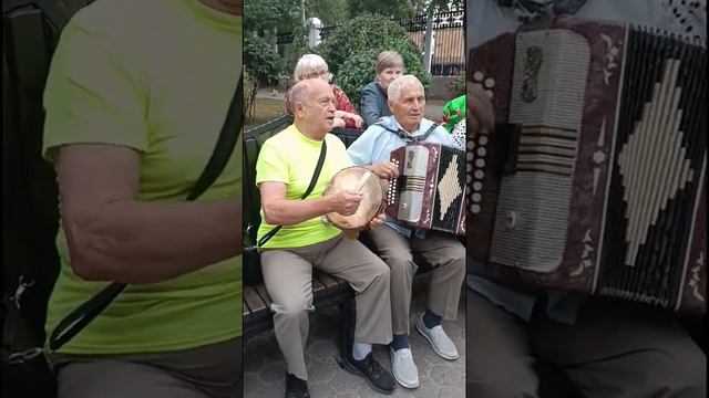 Рябина кудрявая. Гомель, парк. смотреть онлайн