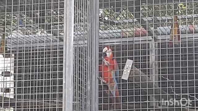 Луна парк в Тель Авиве смотреть онлайн
