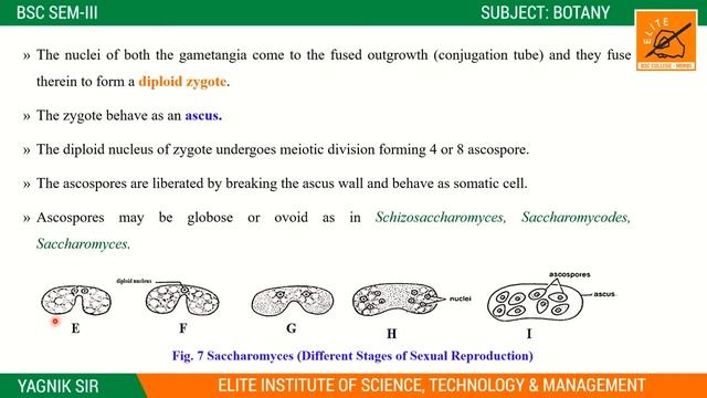 BSC SEM 3 || UNIT 2 || CHAPTER 8 || LECTURE 3 смотреть онлайн