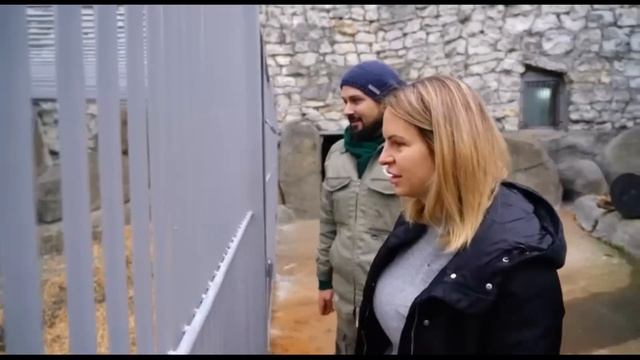 Диксон купается Видео Московского зоопарка......Dixon bathes Video of the Moscow Zoo..... смотреть онлайн