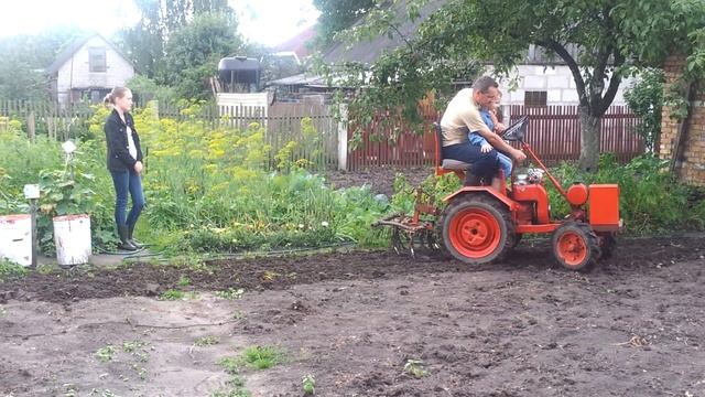Минитрактор, переделанный из мотоблока МТЗ