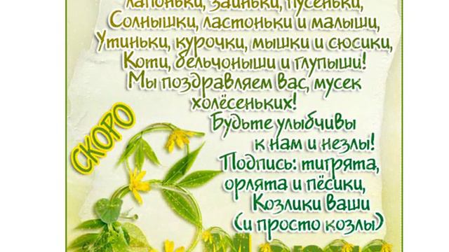 Поздравляю всех женщин с 8 марта! смотреть онлайн