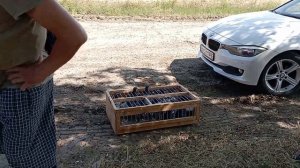 1-я тренировка спортивных почтовых голубей на 3 км / 1st training of sports carrier pigeons