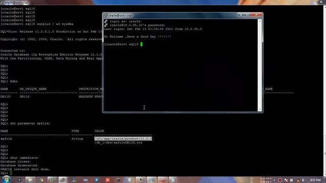 Restore SPFILE from RMAN Backup - Disaster Recovery смотреть онлайн