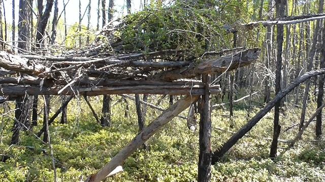 Кулёмка на соболя. смотреть онлайн