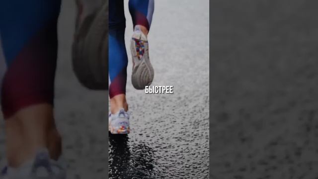 ?ТЫ НЕ СМОЖЕШЬ ОБОГНАТЬ ЧЕРПАХУ смотреть онлайн