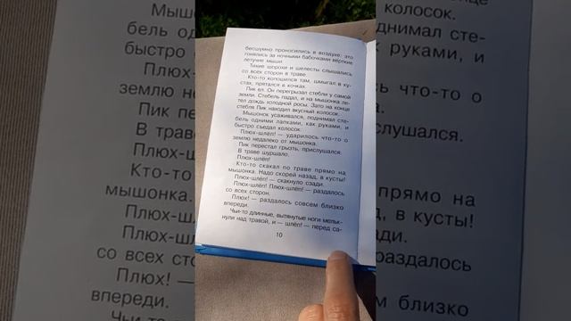 МЫШОНОК ПИК, страшная ночь, В.БИАНКИ смотреть онлайн