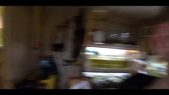 ВЫВОДОК КРАПЧАТЫХ СОМИКОВ!!! смотреть онлайн