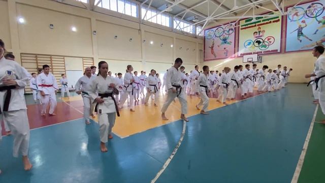 Учебно-тренировочный  семинар KWF 25 11 2023