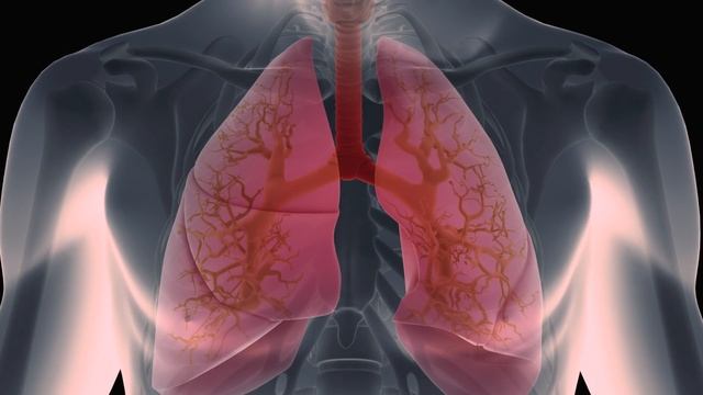 Coronavirus Destroys Sense Of Smell: Why? – Dr. Berg