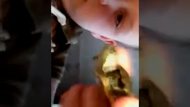 Как определять пол у краснаухих черепах смотреть онлайн