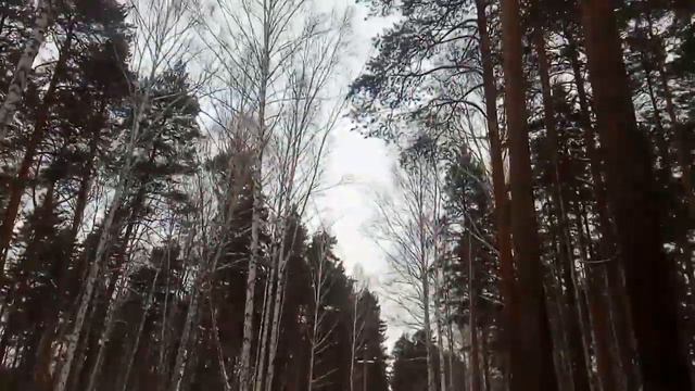 СПУСК НА ЛЫЖАХ У ЕКАТЕРИНБУРГА! СПУСК С ВОСЬМЕРИЧНОЙ ГОРЫ ЗА ШАРТАШОМ смотреть онлайн