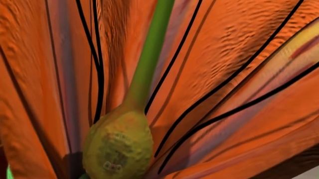 Double Fertilization In Angiosperms