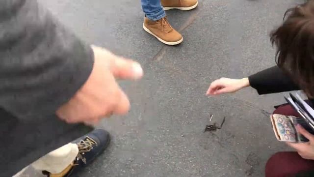 Проверка дома с ГосЖилИнспекцией (ГЖИ) и УК ПИК-Комфорт в г. Мытищи ул. Кедрина 1 - Часть 2 смотреть онлайн